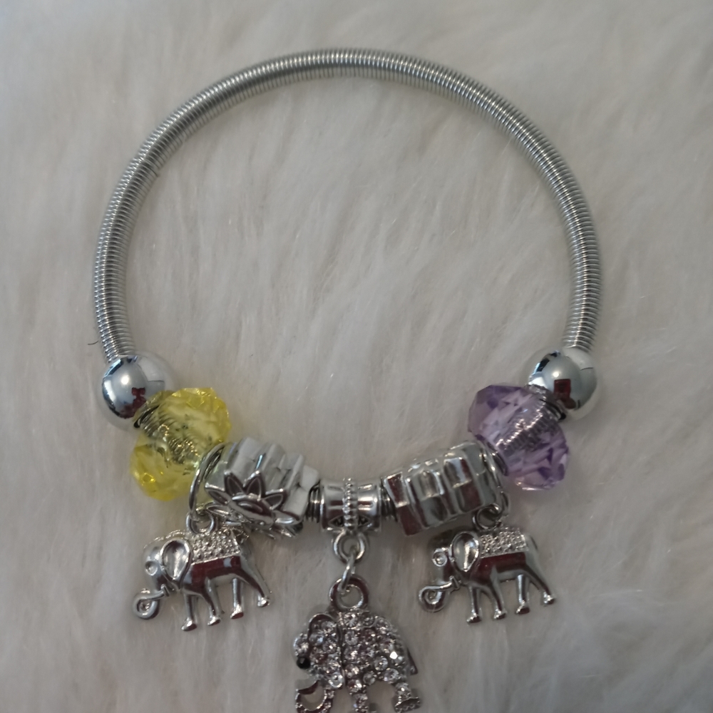 Charm bracelet